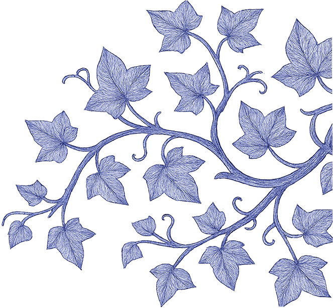 Amati s.r.l.s. - Financial Advisor decoration