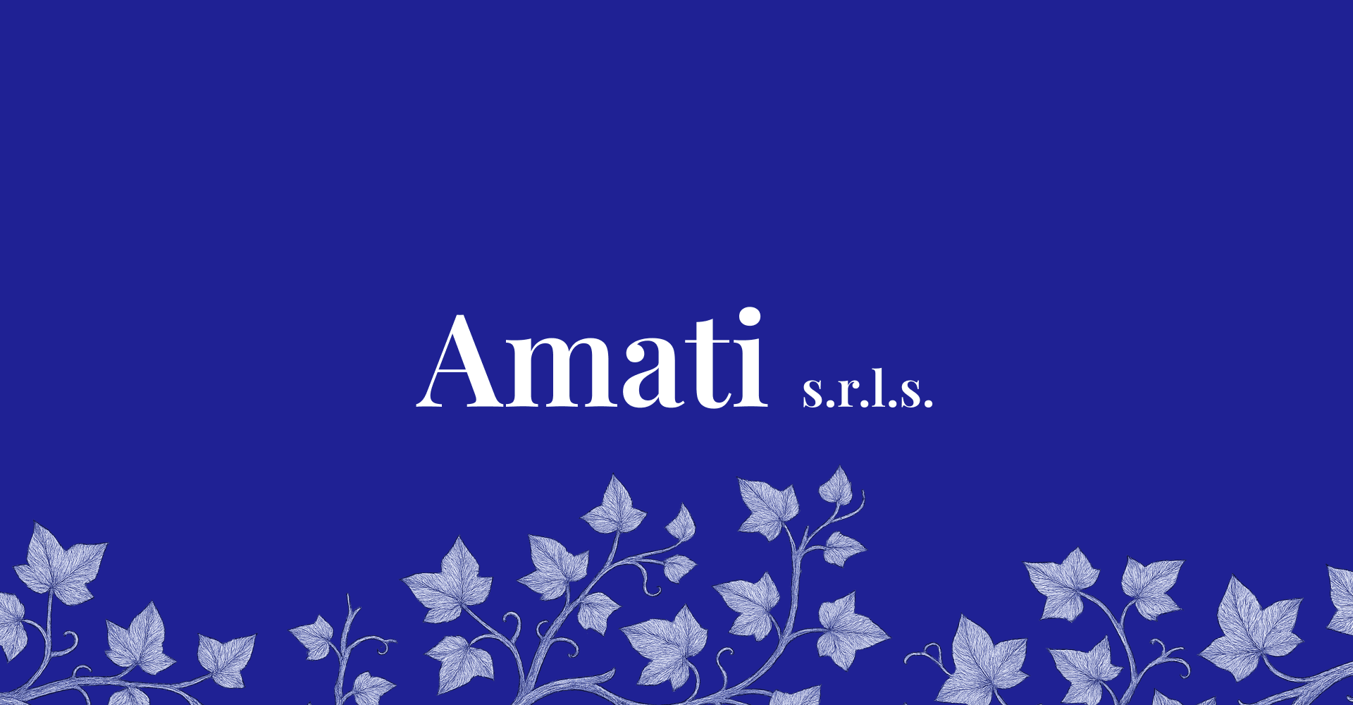 Amati s.r.l.s. - Financial Advisor hero image