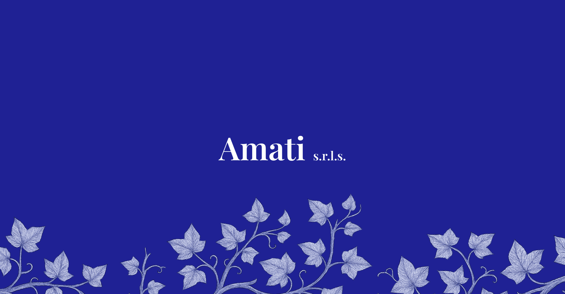 Amati s.r.l.s. - Financial Advisor hero image
