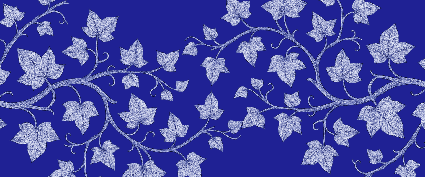 Amati s.r.l.s. - Financial Advisor decoration