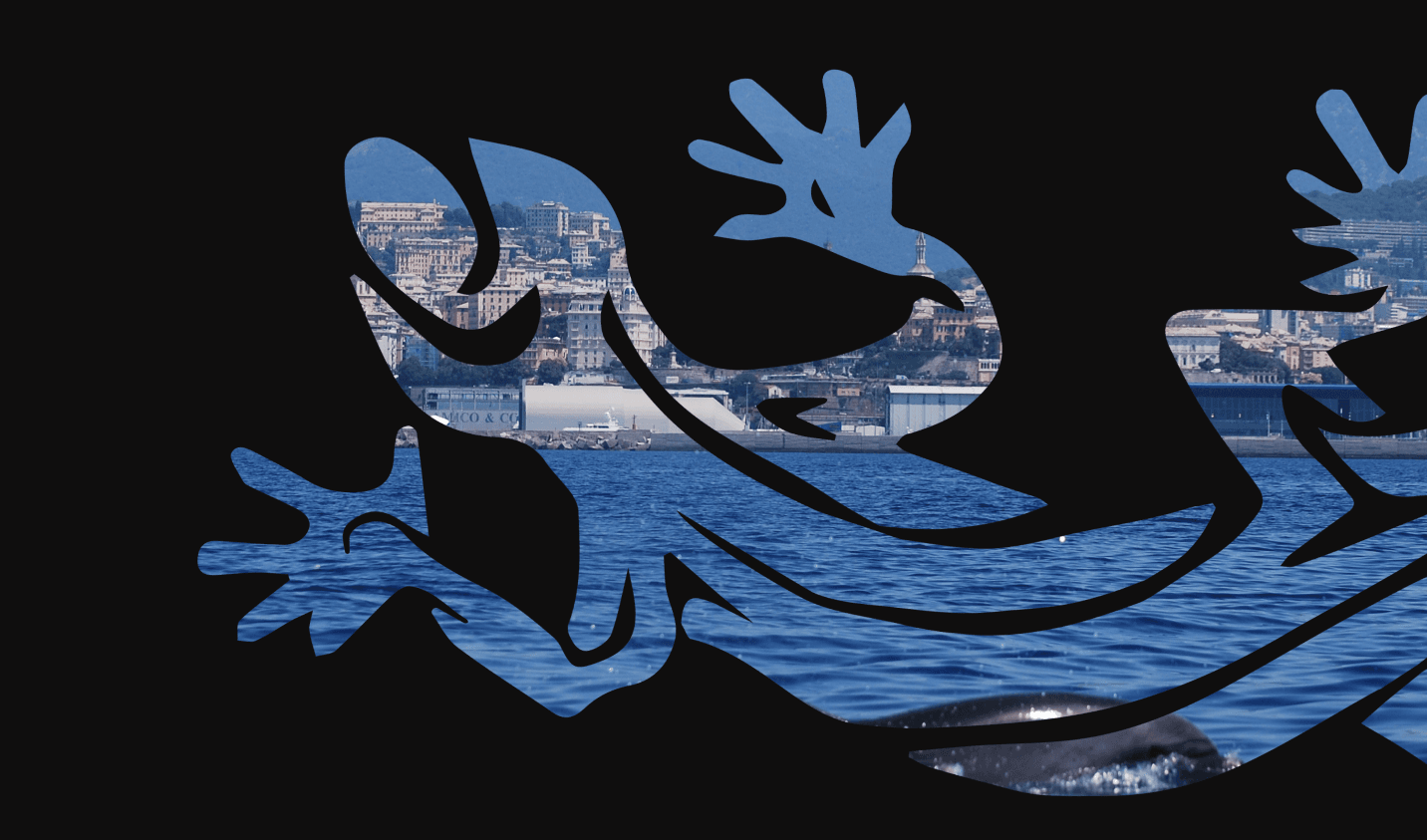 Ge.Co. - Coastal Management logo mask