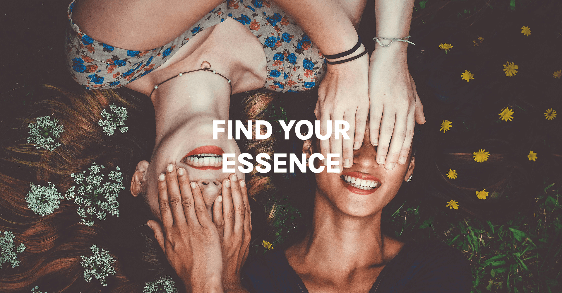 Wild Mirror - Ecommerce hero image